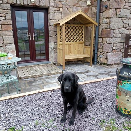 Conwy Pen Cefn Farm Holiday Abergele Eksteriør billede