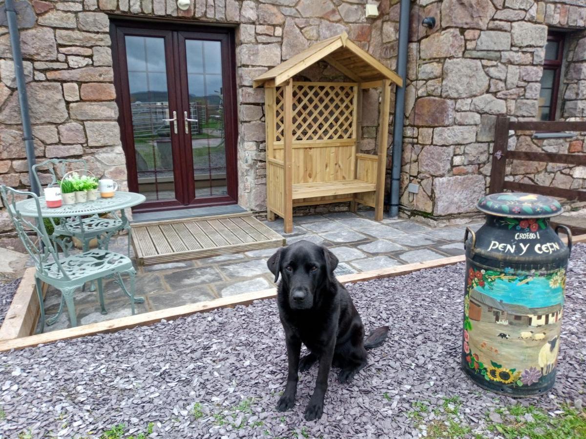 Conwy Pen Cefn Farm Holiday Abergele Eksteriør billede